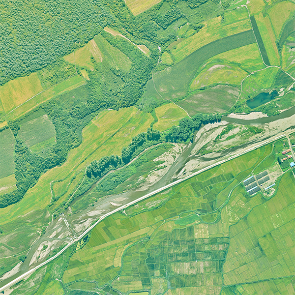 共建地球生命共同體，飛燕在行動(dòng)！